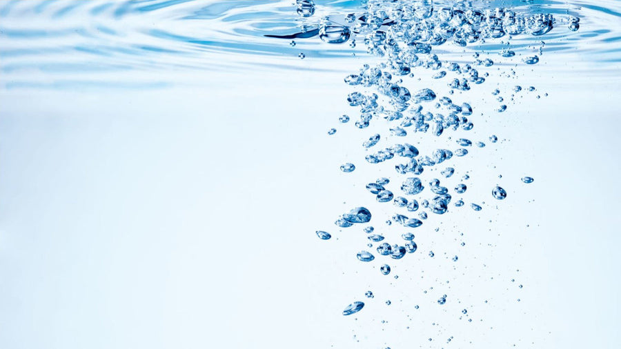 What is Bakuchiol? The alternative anti-aging care to retinol