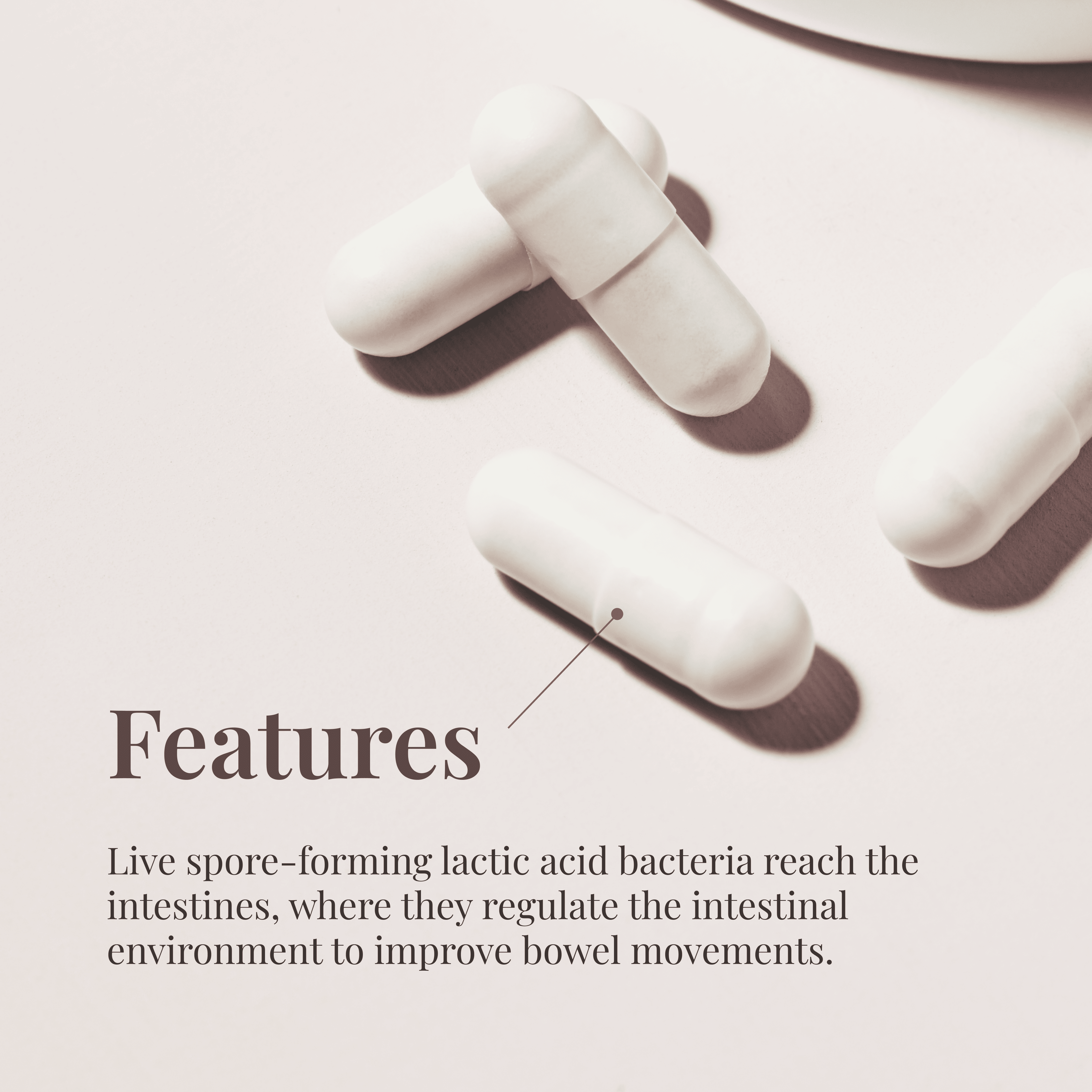 SUPPLEMENT (GUT+)