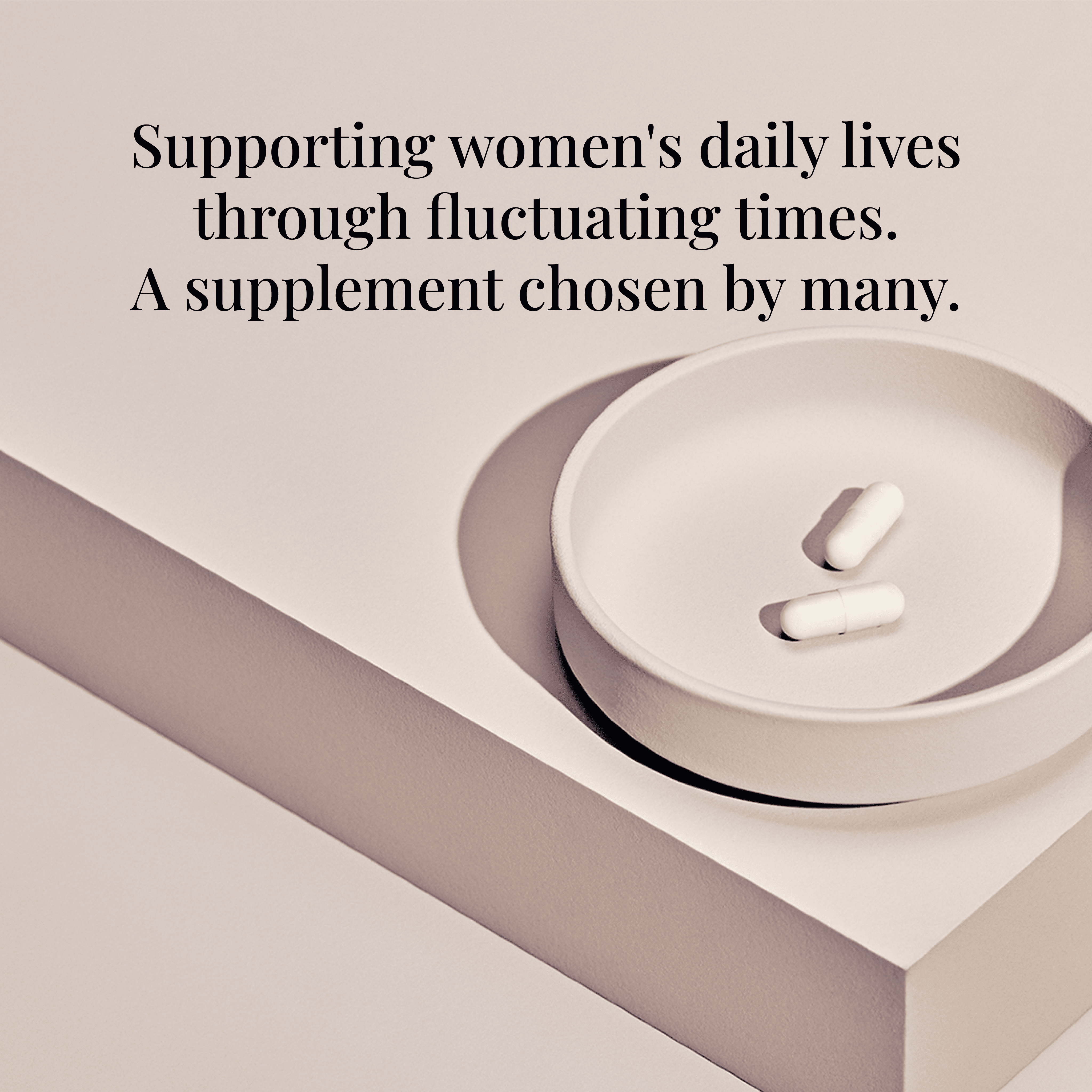 SUPPLEMENT (ORIGINAL)
